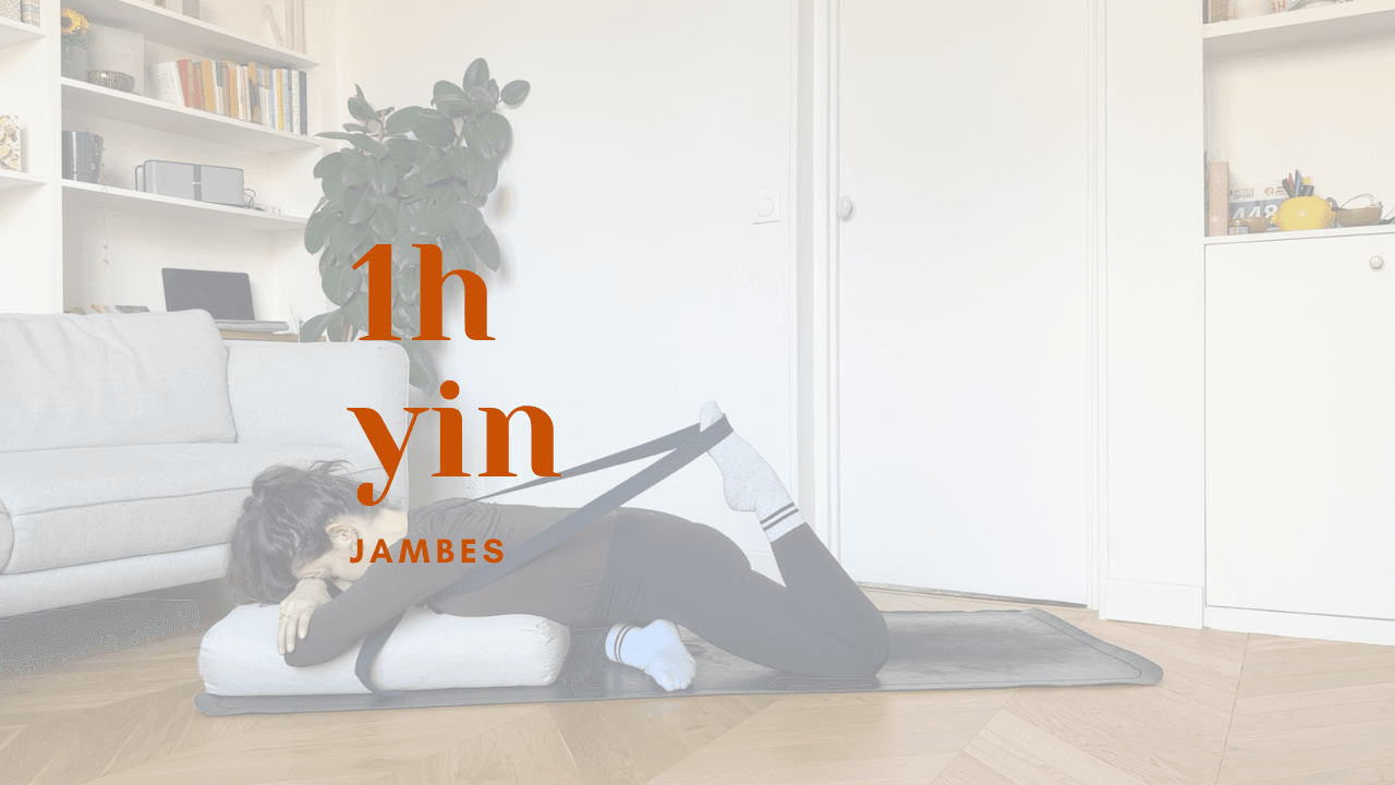 1h - yin // jambes